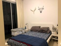 The Boutiq (D9), Apartment #325823771